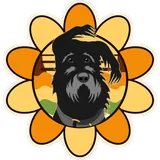 Design Groovy Pup