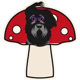 Shroom Guardian