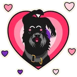 Woof to Love