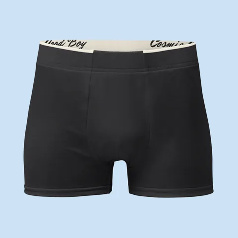 Boxer Briefs with the dog badge